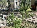 3-комнатная квартира · 65 м² · 2/5 этаж, мкр Жансая 29 за 23 млн ₸ в Таразе — фото 13