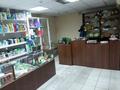 Магазины и бутики • 120 м² за 38 млн 〒 в Павлодаре — фото 4