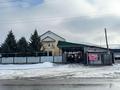 Жеке үй · 9 бөлме · 240 м² · 10 сот., Курмангали 2А, бағасы: 90 млн ₸ в Есик — фото 2