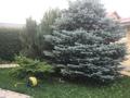 Жеке үй · 7 бөлме · 365 м² · 11.2 жүзд., Мкр Тулпар вип городок 16 — ул Толеметова, бағасы: 270 млн ₸ в Шымкенте, Каратауский р-н — фото 8