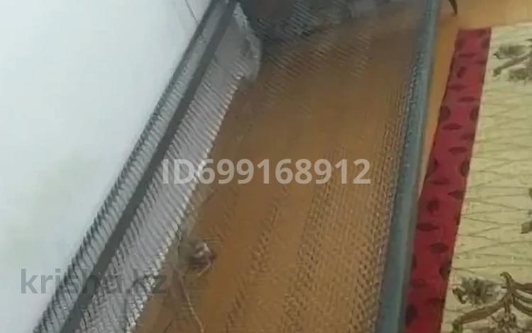 1 комната · 22 м² · 3 этаж, Потанина 18 за 130 000 ₸ в Усть-Каменогорске — фото 2
