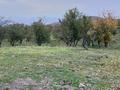 Жер телімі · 6.1 га, Рыскулово, бағасы: 65 млн ₸ — фото 4