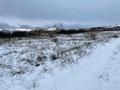 Участок · 7 соток, Новая Бухтарма за 1.5 млн ₸ — фото 9