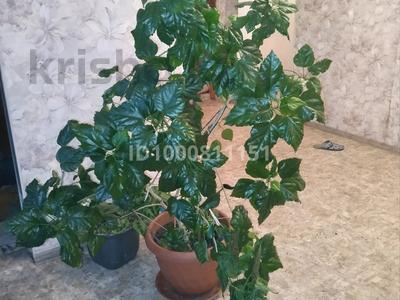 Отдельный дом · 4 комнаты · 90 м² · 10 сот., Ахмирово 53 A — Звездная за 9 млн ₸ в Усть-Каменогорске