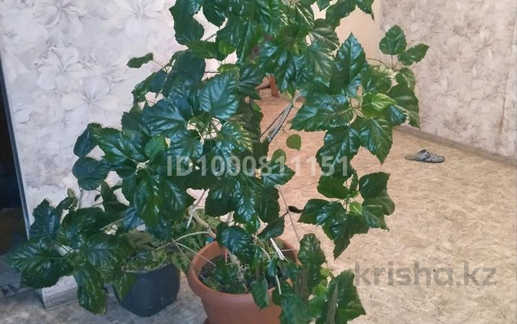 Отдельный дом · 4 комнаты · 90 м² · 10 сот., Ахмирово 53 A — Звездная за 9 млн ₸ в Усть-Каменогорске — фото 3