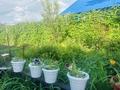 Отдельный дом · 3 комнаты · 115.1 м² · 311 сот., Ч. Валиханова 28 за 46 млн ₸ в Костанае — фото 14