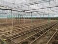 Участок · 125 соток, Абайский р-н, мкр Ынтымак-2 за 1 млн ₸ в Шымкенте