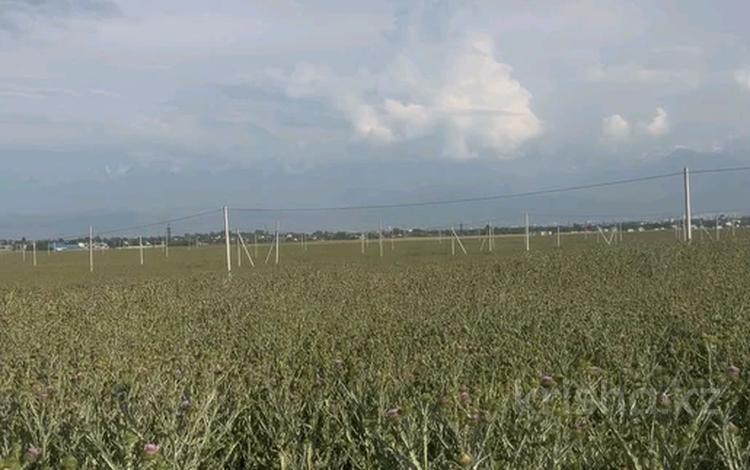 Участок · 5 соток, Аскара Токпанова (КазЦИК) за 5.6 млн ₸ — фото 3