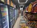 Свободное назначение · 80 м² за 140 млн ₸ в Алматы, Алатауский р-н — фото 22