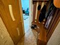 1-бөлмелі пәтер · 29.9 м² · 1/5 қабат, 1-й микрорайон, бағасы: 9.5 млн ₸ в Семее — фото 16