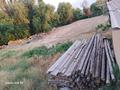 Участок · 14.3 сотки, Гулденген за 30 млн ₸ в Шымкенте, Абайский р-н — фото 4