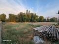 Участок · 14.3 сотки, Гулденген за 30 млн ₸ в Шымкенте, Абайский р-н — фото 7
