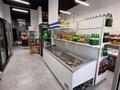 Готовый бизнес продуктовый магазин · 90 м² за 11.5 млн ₸ в Астане, Нура р-н — фото 6