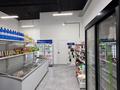 Готовый бизнес продуктовый магазин · 90 м² за 11.5 млн ₸ в Астане, Нура р-н — фото 8