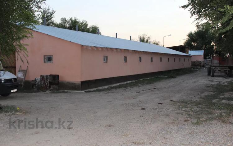 откормочная база с жилым домам за 35 млн 〒 в Сарыкемере — фото 3