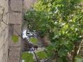 Жеке үй · 5 бөлме · 170 м² · 25.4 сот., Рахат 3 25 көше 275, бағасы: 30 млн ₸ в Жанаозен — фото 2