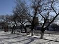 Магазины и бутики, салоны красоты, медцентры и аптеки, образование, развлечения · 320 м² за 179.2 млн ₸ в Павлодаре — фото 11
