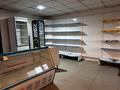 Продуктовый магазин, 100 м² за 35.5 млн 〒 в Атырау, мкр Атырау — фото 4