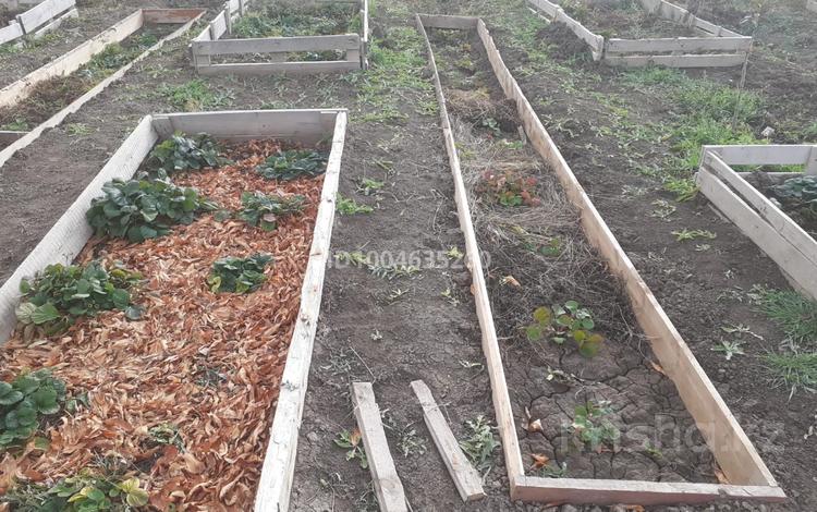 Дача · 1 комната · 9 м² · 20 сот., Береке (Память Ильича) — Садовое общество Энергетик за 8 млн 〒 в Атырау — фото 5