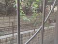 4-бөлмелі пәтер · 120 м² · 1/3 қабат, мкр Малый Самал ул. Акмаржан 17дом — Ул.Байдибек би угол ул. Аргынбекова, возле ТД Изуми, бағасы: 46 млн ₸ в Шымкенте, Туран р-н — фото 16