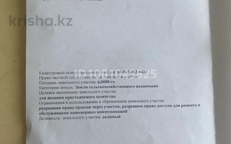 Участок · 6 га, Алтын Аул за 150 млн ₸ в Каскелене — фото 2