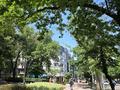 4-бөлмелі пәтер · 80 м² · 7/9 қабат, Самал 1 1, бағасы: 450 000 ₸ в Алматы, Медеуский р-н — фото 20