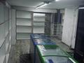Свободное назначение, магазины и бутики · 30 м² за 170 000 ₸ в Алматы, Алатауский р-н — фото 7