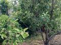 Дом · 6 комнат · 258 м², Ыклас Дукенулы 14 за 100 000 ₸ в Таразе — фото 7
