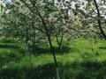 Жеке үй · 4 бөлме · 120 м² · 25 жүзд., Күмістобе 19, бағасы: 12 млн ₸ в Ленгере — фото 15