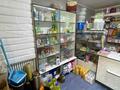 Магазины и бутики · 32 м² за 31 млн ₸ в Петропавловске — фото 2