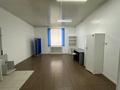Свободное назначение, офисы, салоны красоты, образование · 1412 м² за 270 млн 〒 в Костанае — фото 17