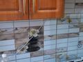 2-комнатная квартира · 42.1 м² · 1/5 этаж, Старый Майкудук — 14 микрорайон за 12.5 млн ₸ в Караганде, Алихана Бокейханова р-н — фото 14