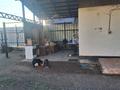 Отдельный дом · 4 комнаты · 120 м² · 8 сот., Алтыбакан 33 — Алтыбакан за 32 млн ₸ в Узынагаш — фото 5