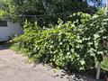 Жеке үй · 5 бөлме · 143.7 м² · 12 жүзд., Кунаева 28, бағасы: 32 млн ₸ в Болеке — фото 26