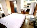 Отдельный дом · 1 комната · 45 м² · 6 сот., Жарылгасова — Белинского за 150 000 ₸ в Алматы, Жетысуский р-н — фото 5