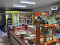 Отдельный дом · 12 комнат · 665 м² · 6 сот., Кошке Кеменгерулы за 100 млн ₸ в Астане, р-н Байконур — фото 17