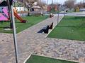 Жеке үй · 3 бөлме · 70 м² · 5.75 жүзд., 6 линия 13 — Декоративная 29, бағасы: 18 млн ₸ в Семее — фото 4