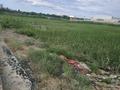 Жер телімі · 83 сотық, Мкр Арай — ул. Арай-15, бағасы: 160 млн ₸ в  — фото 3