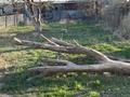 Жеке үй · 4 бөлме · 150 м² · 12 жүзд., ул. курманғазы 7, бағасы: 29 млн ₸ в Атырау — фото 13