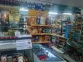Магазины и бутики • 50 м² за 40 млн 〒 в Усть-Каменогорске — фото 5