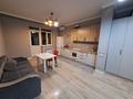 2-бөлмелі пәтер · 60 м² · 5/14 қабат, Абая 150/230 — Тургут озала, бағасы: 300 000 ₸ в Алматы, Бостандыкский р-н — фото 18