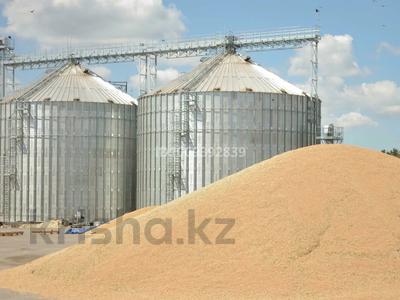 Участок · 20 га, Талшик 1 — Вдоль жд за 500 млн 〒 в Северо-Казахстанской обл.