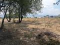 Участок · 82 сотки, Орымбаева 32 за 250 млн ₸ в Туздыбастау (Калинино) — фото 2