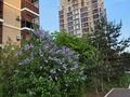 2-комнатная квартира · 77 м² · 9/16 этаж, Республики 9/2 за 55.8 млн ₸ в Астане, Сарыарка р-н — фото 9