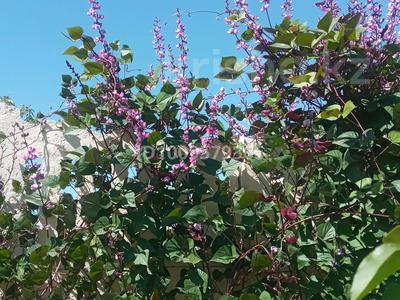 Жеке үй · 5 бөлме · 145 м² · 6 сот., Кошек батыра — Желтоксан, бағасы: 45 млн 〒 в Таразе