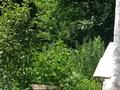 Отдельный дом · 3 комнаты · 40 м² · 6 сот., Кокжиек 109 — Напротив гортопа за 8 млн ₸ в Ленгере — фото 8
