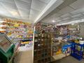 Магазины и бутики • 140 м² за 55 млн 〒 в Балхаше — фото 2