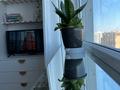 1-бөлмелі пәтер · 30 м² · 9/9 қабат, мкр Центральный, Достык 1 — Рахат - Драмтеатр, бағасы: 230 000 ₸ в Атырау — фото 23