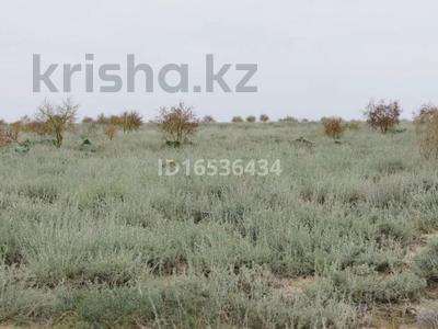 Жер телімі 7 га, Кызылорда, бағасы: 10 млн 〒