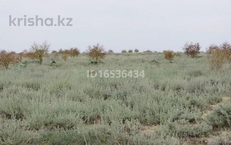 Жер телімі 7 га, Кызылорда, бағасы: 10 млн 〒 — фото 2